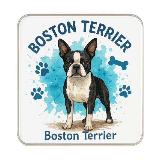 Boston Terrier