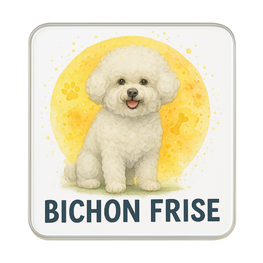 Bichon Frise