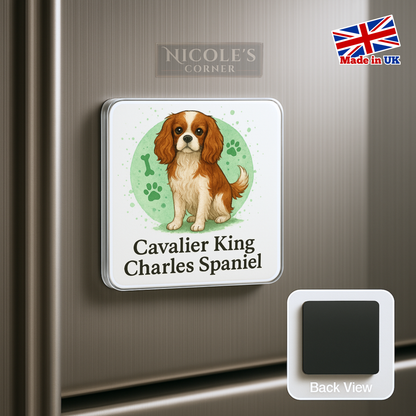 King Charles Spaniel
