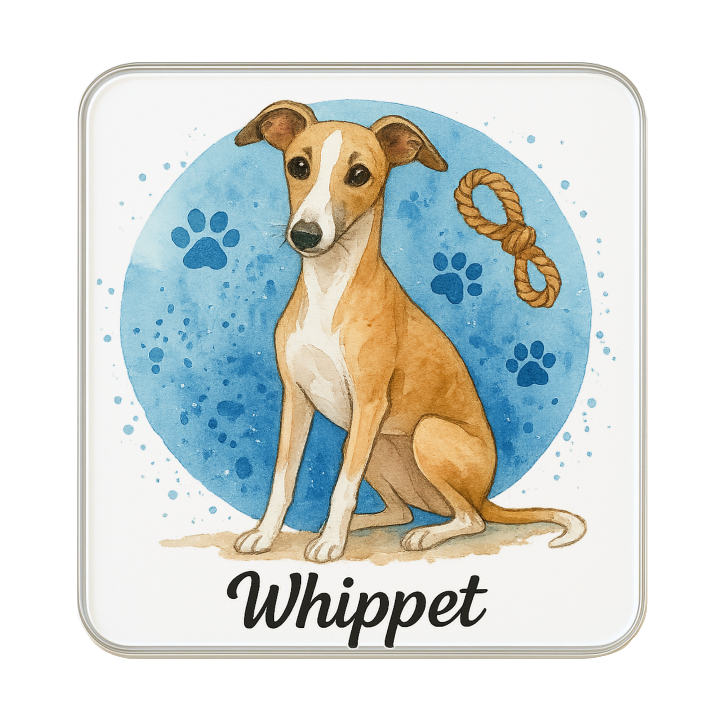Whippet