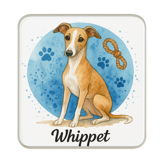 Whippet