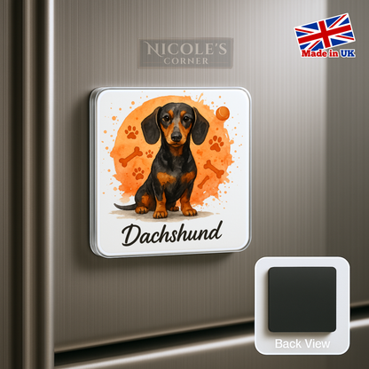 Dachshund