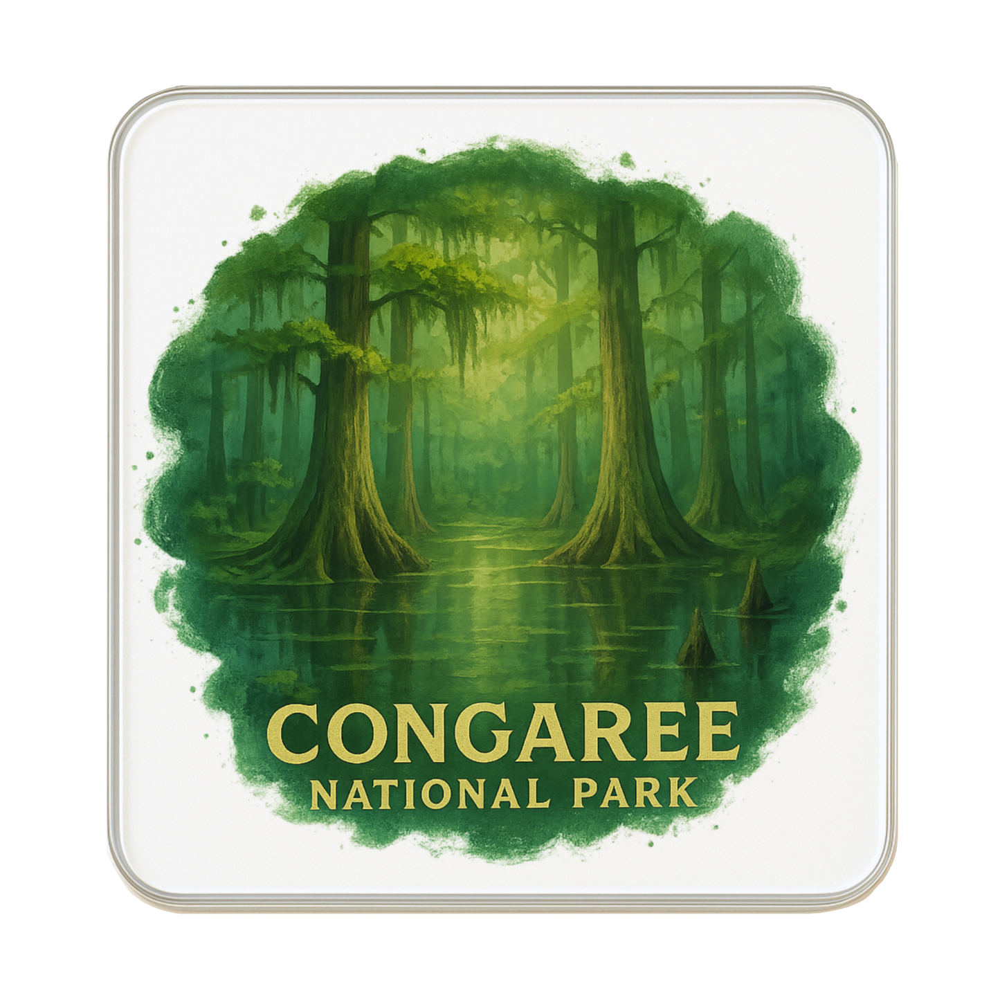 Congaree National Park, USA