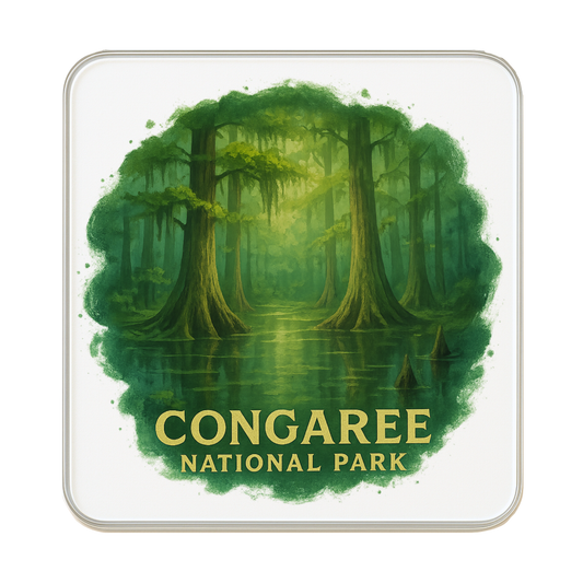 Congaree National Park, USA