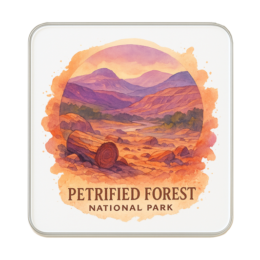 Petrified Forest National Park, USA
