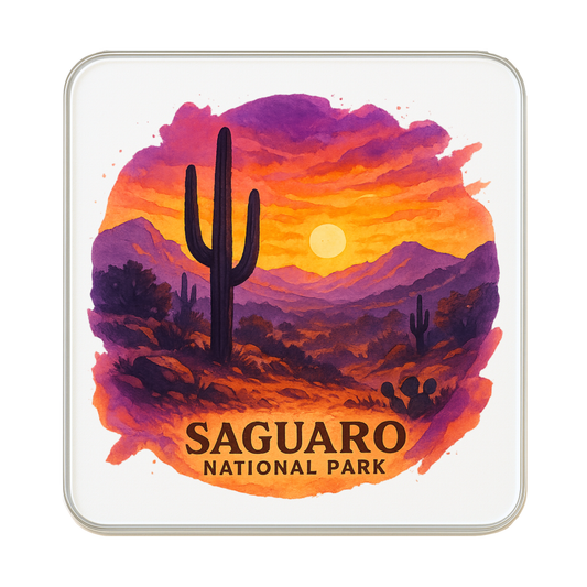 Saguaro National Park, USA